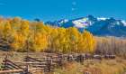 Colorado-Quray Dallas Divide-sunrise on the Mt Snaffles with autumn colors and split rail fence Art Print